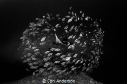 Centrality by Jon Anderson 
